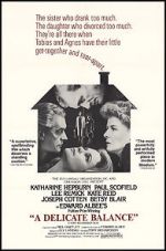 Watch A Delicate Balance 0123movies