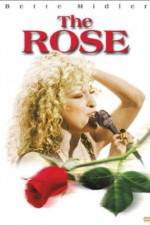 Watch The Rose 0123movies