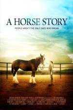 Watch A Horse Story 0123movies
