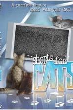 Watch Shorts for Cats 0123movies