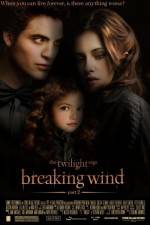 Watch Breaking Wind 0123movies