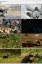 Watch National Geographic: Japans Hidden Secrets 0123movies