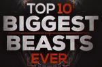 Watch Top 10 Biggest Beasts Ever 0123movies