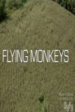 Watch Winged Terror 0123movies