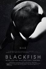 Watch Blackfish 0123movies