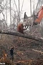 Watch Climate Change: The Facts 0123movies