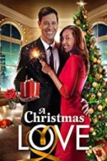 Watch A Christmas Love 0123movies