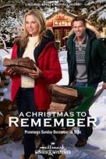 Watch A Christmas to Remember 0123movies