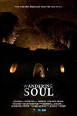 Watch Wandering Soul 0123movies