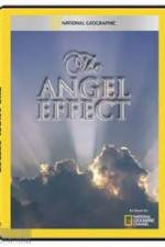 Watch National Geographic Explorer - The Angel Effect 0123movies