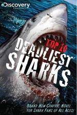 Watch National Geographic Worlds Deadliest Sharks 0123movies