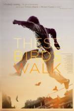 Watch These Birds Walk 0123movies