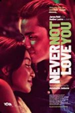 Watch Never Not Love You 0123movies