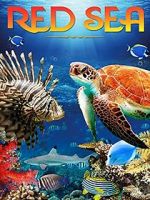 Watch Red Sea 4K 0123movies