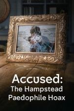 Watch Accused: The Hampstead Paedophile Hoax 0123movies