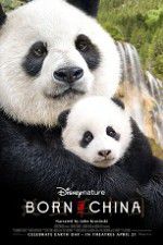 Watch Born in China 0123movies