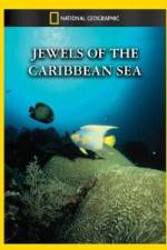 Watch National Geographic Jewels of the Caribbean Sea 0123movies