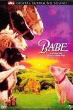 Watch Babe 0123movies