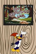 Watch The Redwood Sap (Short 1951) 0123movies