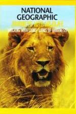 Watch National Geographic:  Walking with Lions 0123movies
