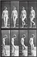 Watch Woman Walking Downstairs 0123movies