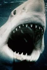 Watch Sharkmania: The Top 15 Biggest Baddest Bloodiest Bites 0123movies