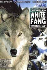 Watch Zanna bianca alla riscossa 0123movies