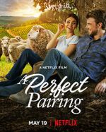 Watch A Perfect Pairing 0123movies