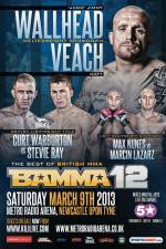 Watch BAMMA 12: Wallhead vs Veach 0123movies