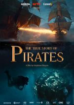 Watch The True Story of Pirates 0123movies