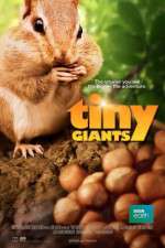 Watch Tiny Giants 3D 0123movies