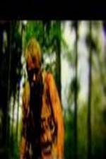 Watch The Legend of David 0123movies