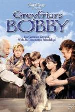 Watch Greyfriars Bobby The True Story of a Dog 0123movies