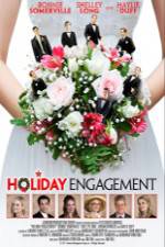 Watch Holiday Engagement 0123movies