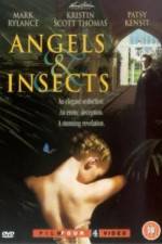 Watch Angels and Insects 0123movies