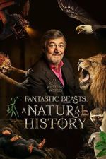 Watch Fantastic Beasts: A Natural History 0123movies