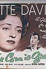 Watch The Corn Is Green 0123movies