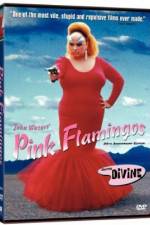 Watch Pink Flamingos 0123movies