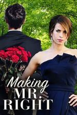 Watch Making Mr. Right 0123movies