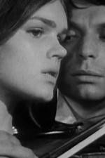 Watch Pavoncello 0123movies