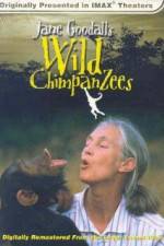 Watch Jane Goodall's Wild Chimpanzees 0123movies