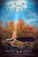Watch Many Beautiful Things 0123movies