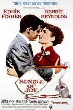 Watch Bundle of Joy 0123movies
