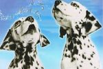 Watch 101 Dalmatians Sing Along 0123movies