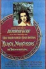 Watch Black Narcissus 0123movies