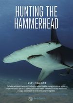 Watch Hunting the Hammerhead 0123movies