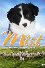 Watch Mist: The Tale of a Sheepdog Puppy 0123movies