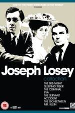 Watch The Big Night 0123movies