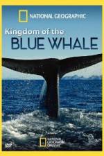 Watch National Geographic Kingdom of Blue Whale 0123movies