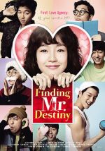 Watch Finding Mr. Destiny 0123movies